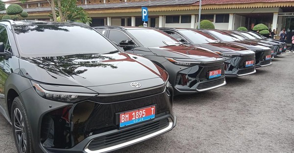 Mobil Dinas